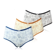 Women Lingerie Cotton Panties Plus Size Underwear