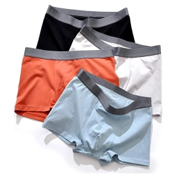 Solid Color Low Rise Boxer Briefs Underwear Trunk Mens Sexy Cotton Swimming Trunks With Logo