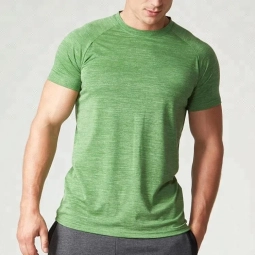Oem Service Summer Sportswear Short Sleeve Raglan Seamless Men S Gym T Shirt