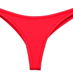 Women S Panties Thong Sexy Hot Girls In Satin Panty